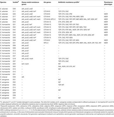 Multidrug-Resistant CTX-M-(15, 9, 2)- and KPC-2-Producing Enterobacter hormaechei and Enterobacter asburiae Isolates Possessed a Set of Acquired Heavy Metal Tolerance Genes Including a Chromosomal sil Operon (for Acquired Silver Resistance)